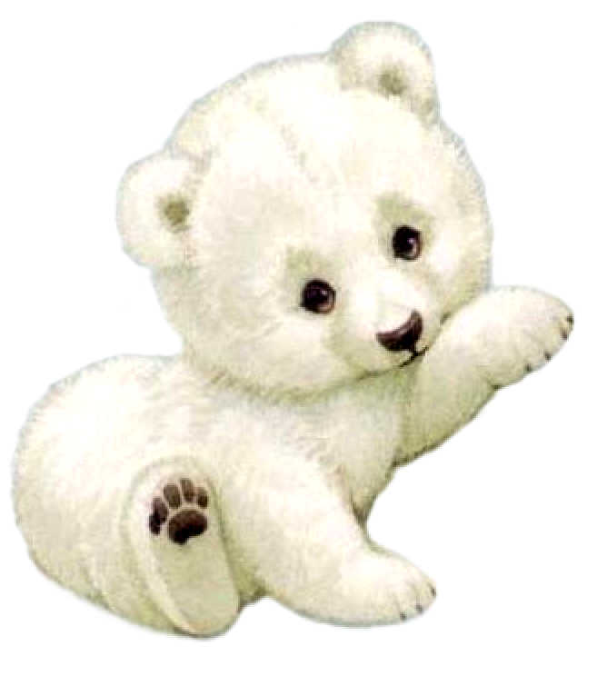 POLORBEARNM