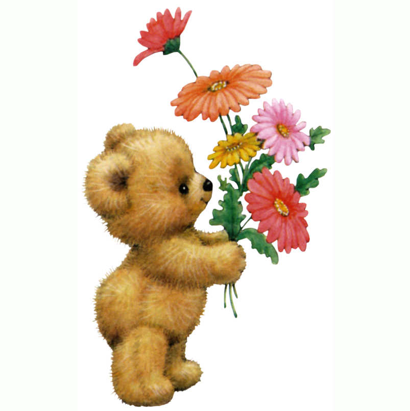 RMBEARFLOWERSMOLLY