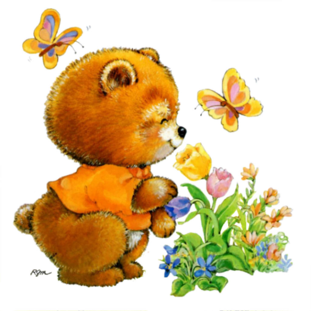 RMBearSldedinelle x