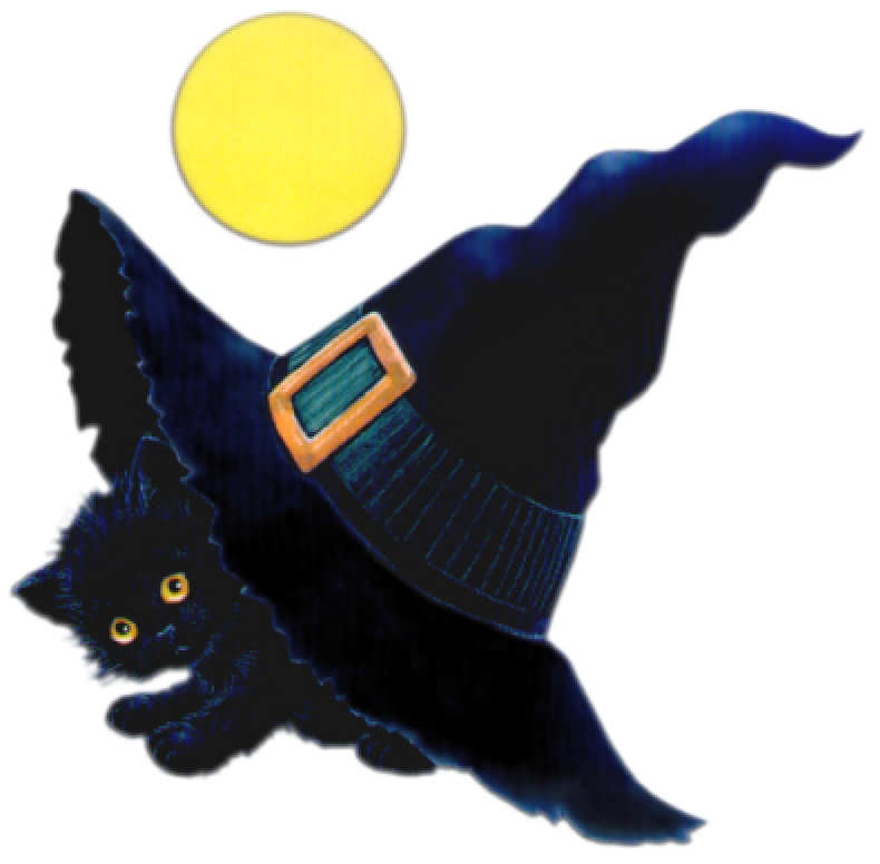 RMHalloweenKittenWitchhatmolly