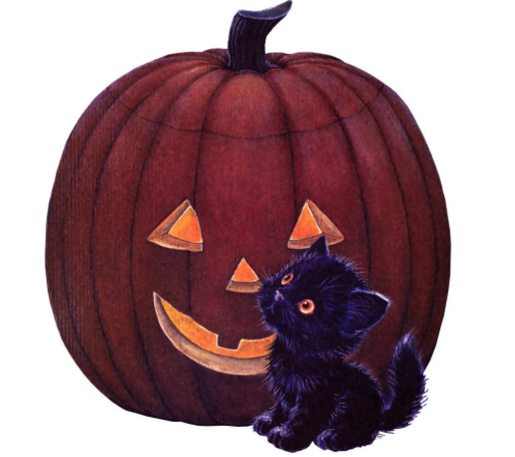 RMHalloweenPumpkinkittySMmolly x