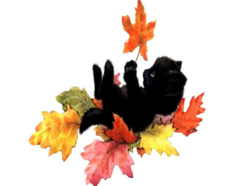 RMHalloweencardeuniceCLDM