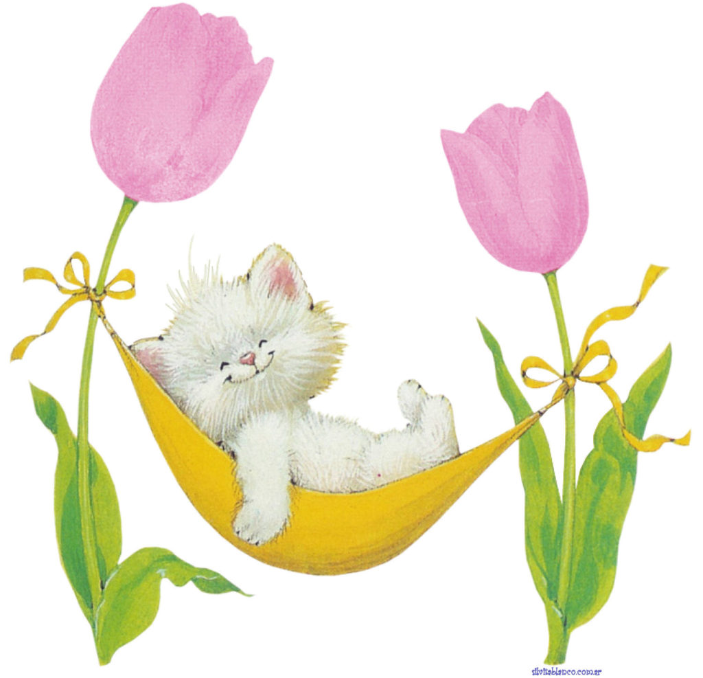 Kitty Tulip Hammock
