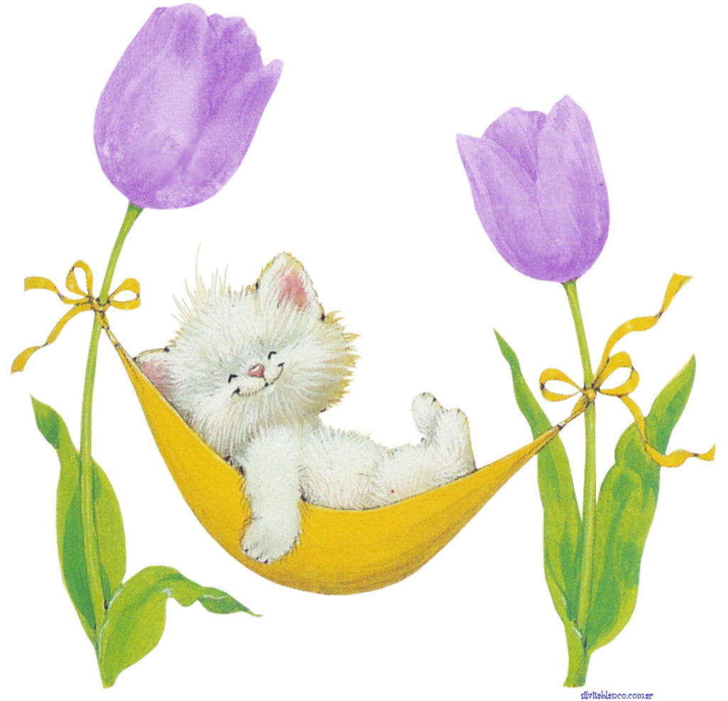 RMKittyPURPLETulipHammockmolly x