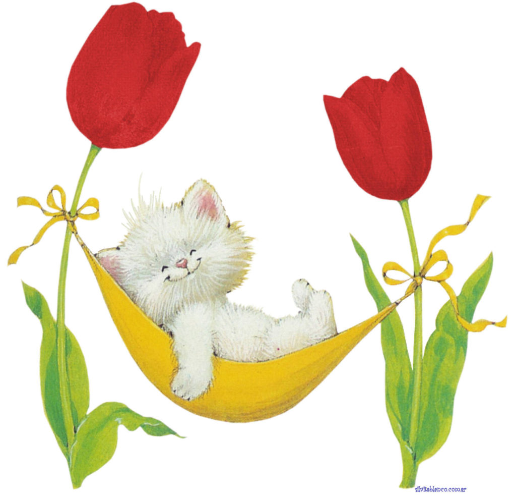 RMKittyREDTulipHammockmolly x