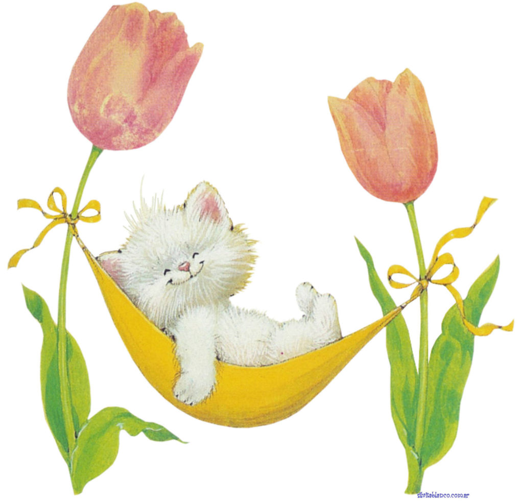 RMKittyTulipHammockmolly x