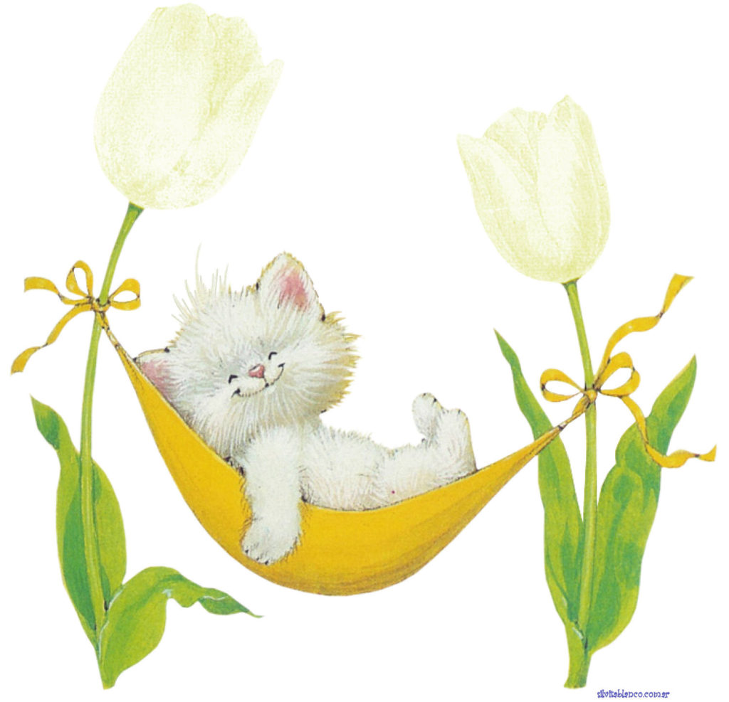 RMKittyWHITETulipHammockmolly x