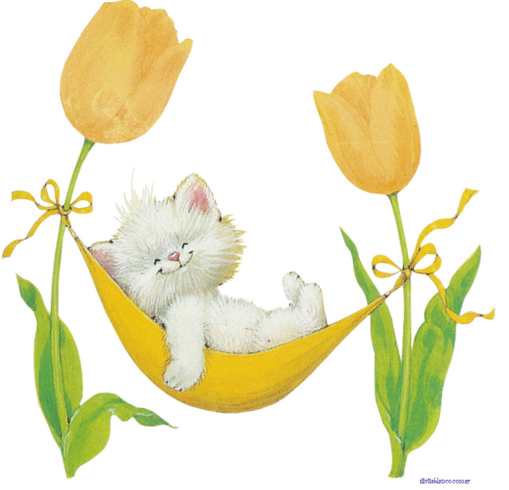 RMKittyYELLOWTulipHammockmolly x