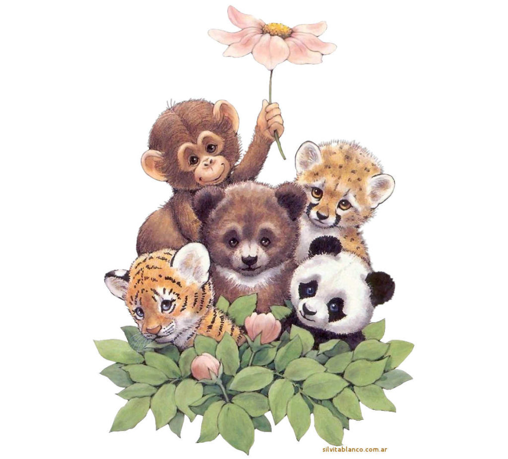 RMWildAnimalBabiesmolly x