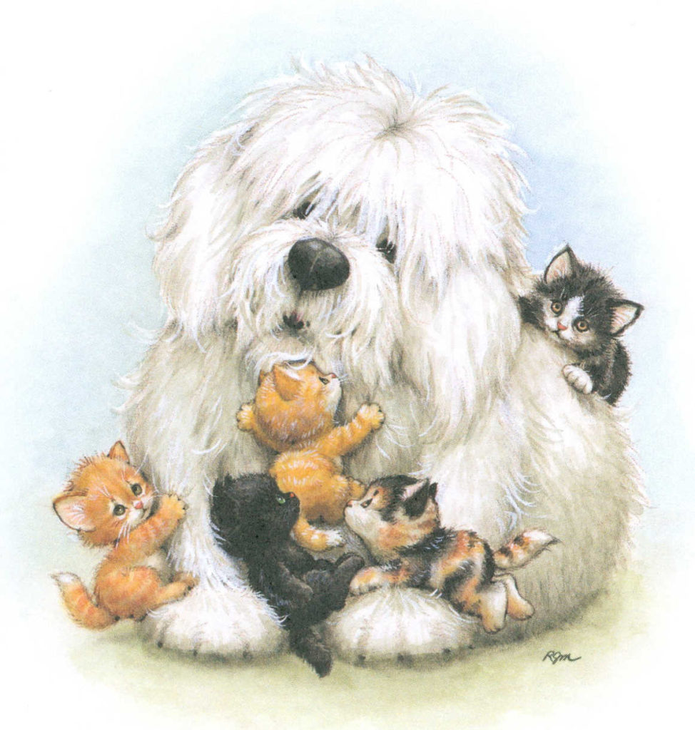RManimalsShaggydogwithfivekittensmm x