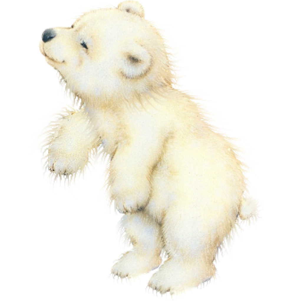 Whtbear x