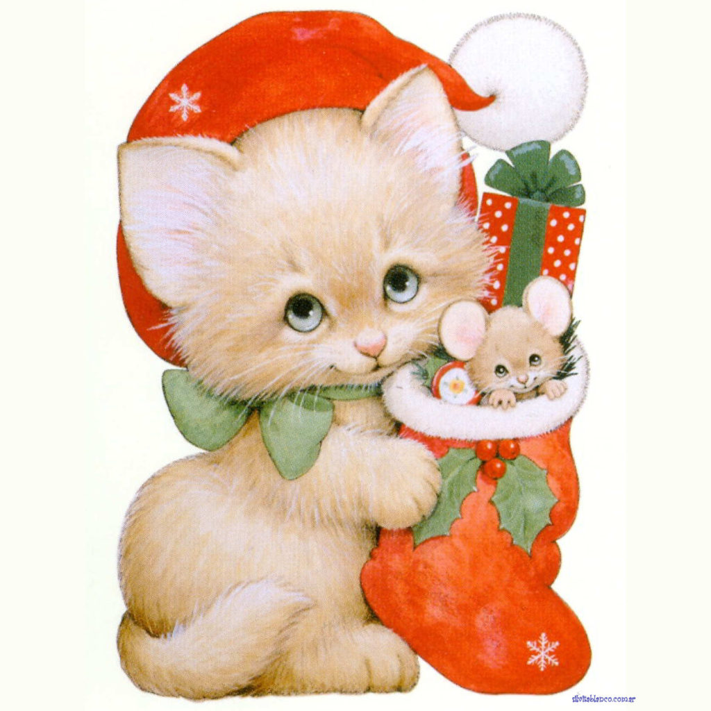 Christmas stockings