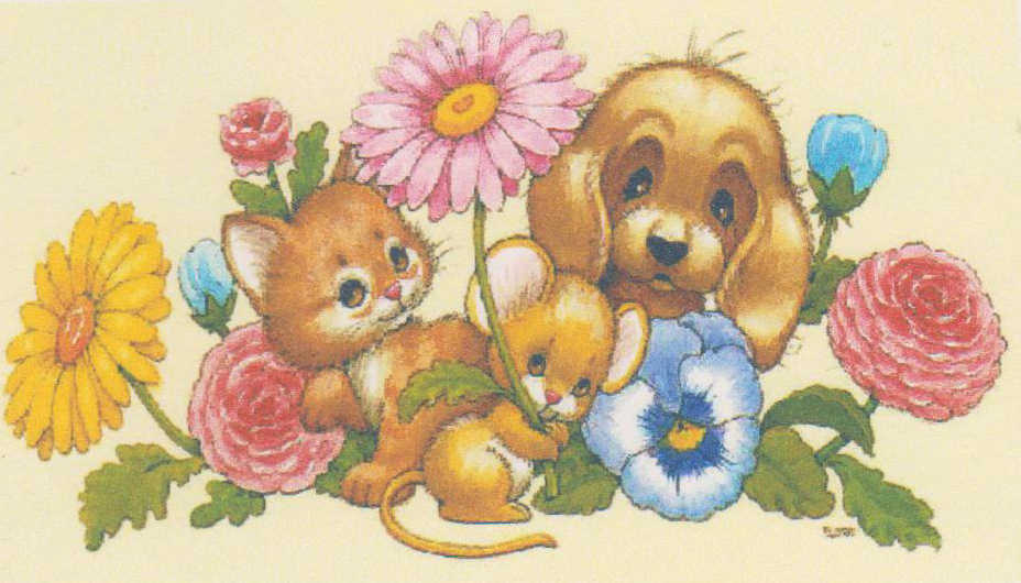 animals