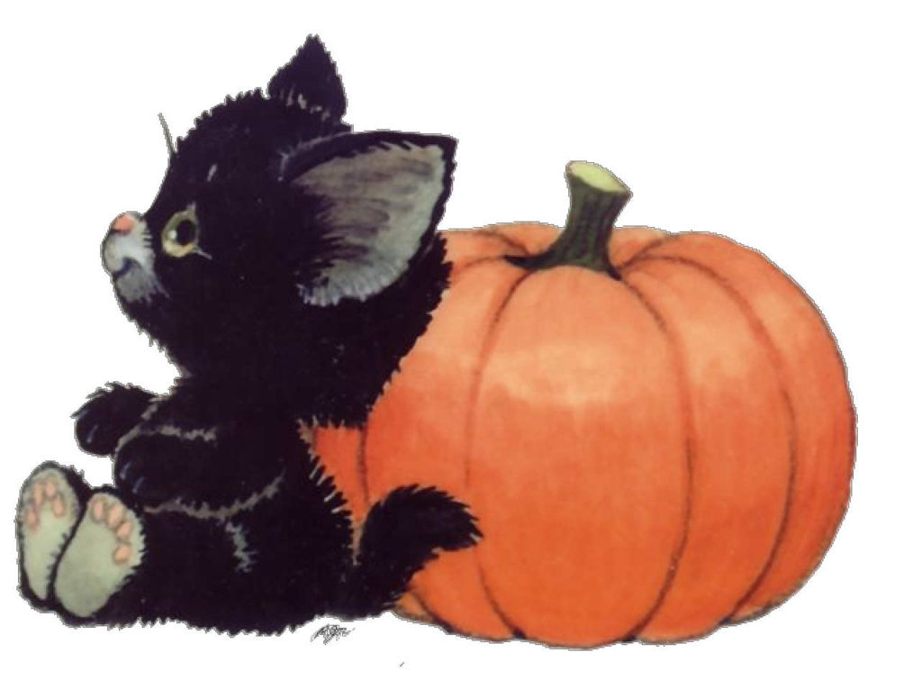 rmkittenwithpumpkineunice x