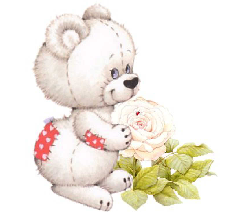 Cute Bears
