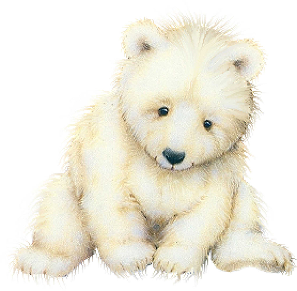whtbear x