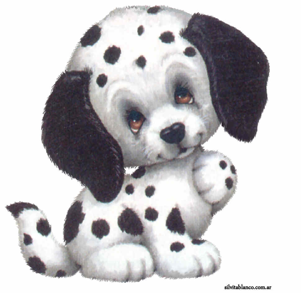 Dalmatian Puppy