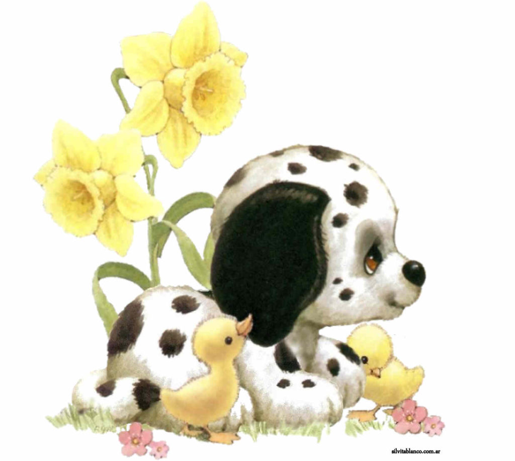 Dalmatian Puppy