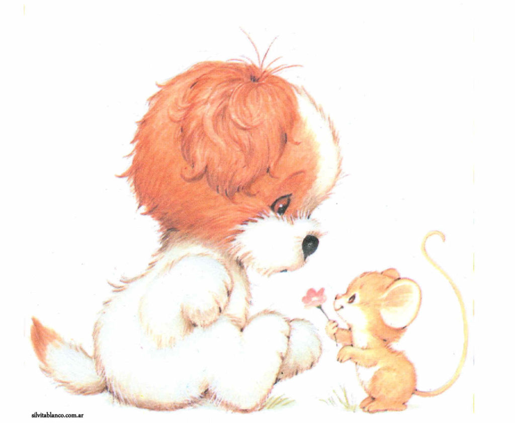 Cute Animals