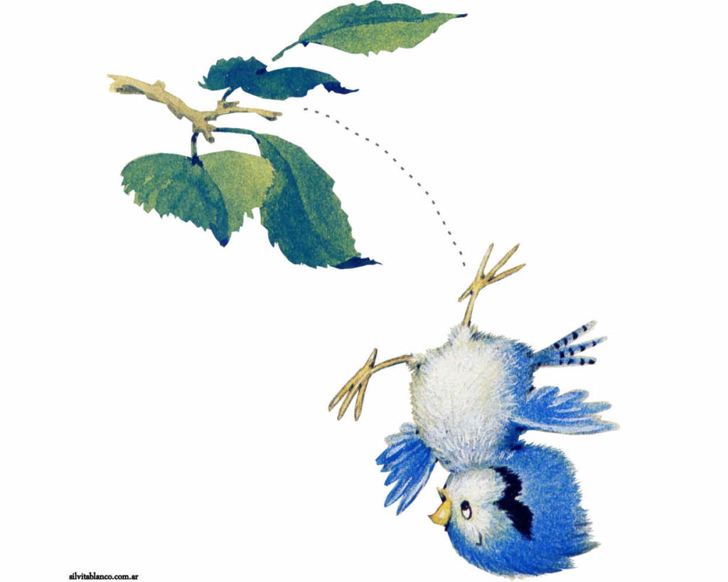 Little bird
