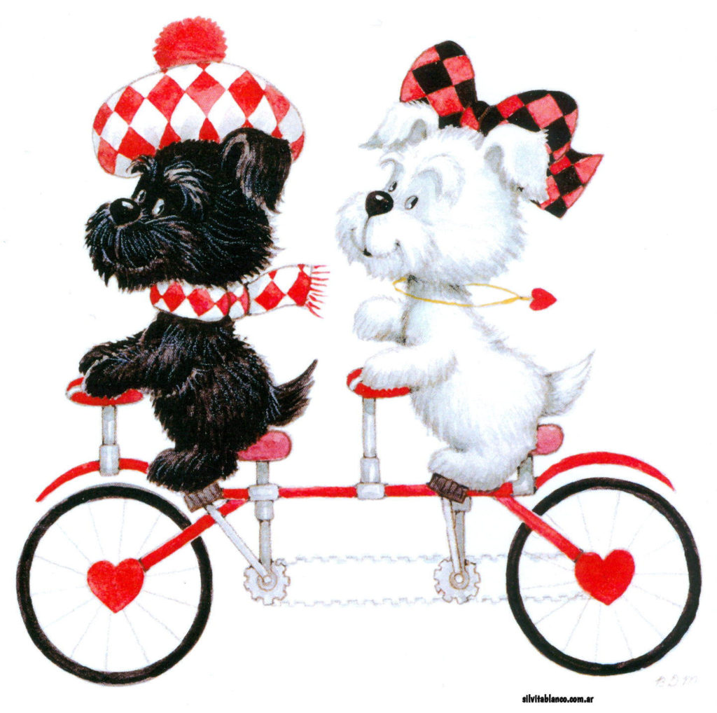 aaaaBDMBicyclefor twoscottishdogsmm x