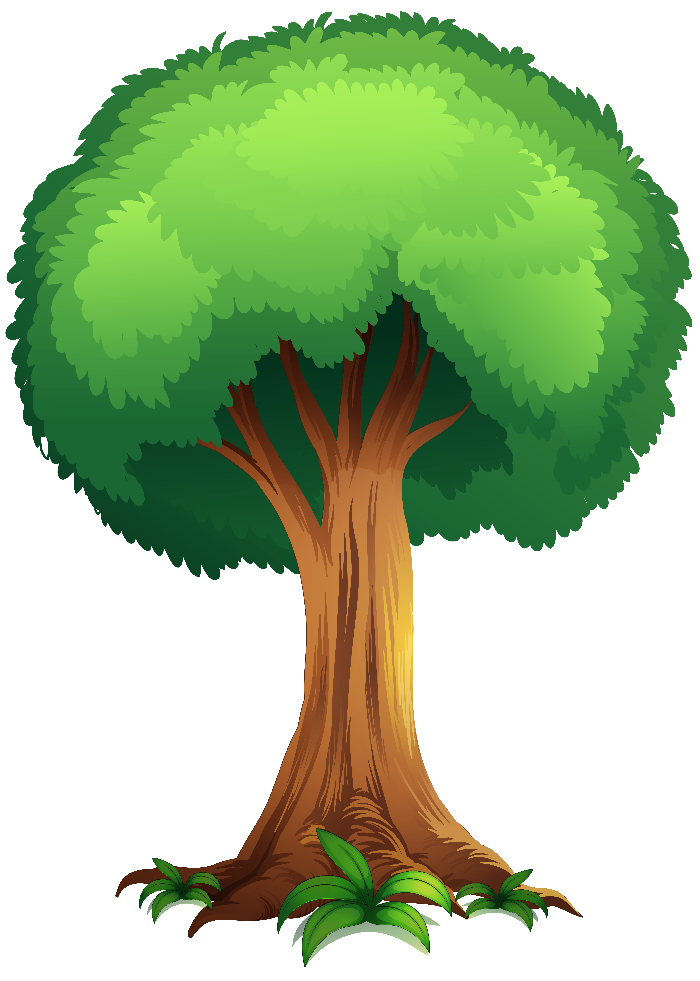 Vector De Arbol De Dibujos Animados Imagenes De Graficos Png Gratis Images 1498