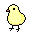 chick