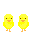 chicks
