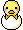 animal gif