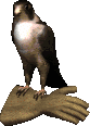 FF