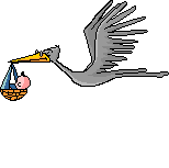 vogel