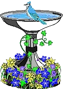 Bird bath