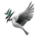duif