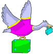vogel