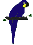 vogel