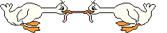 vogel