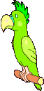 vogelFFF