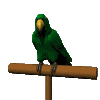vogel