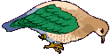 vogel