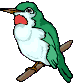 vogel