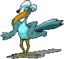 vogel