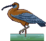 vogel
