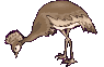 vogel