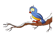 vogel