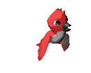 vogel