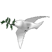 vogel