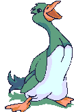 vogel
