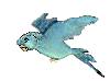 vogel