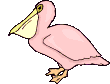 vogels