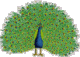 volaille